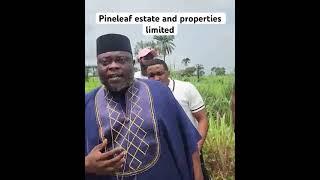 PINELEAF ESTATE AND PROPERTIES LIMITED