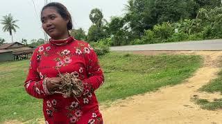 Plowing the ground and delicious fish soup