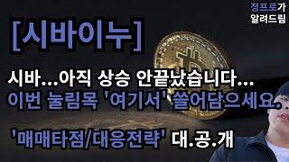 [시바이누] 아직 절대 상승 안끝났습니다. / 살짝 눌린다고 다 털리실거에요??