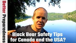 Easy Black Bear Safety Tips for Canada and the USA || Preparedness in Bear Country