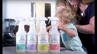 How to Use Wondercide Indoor Bug Spray