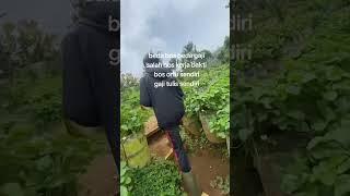 #agrigenz #petanimuda #petanimilenial #petaniindonesia #fyp