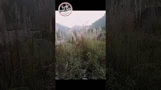 RISHI KHOLA || NORTH BENGAL TOURISM || KALIMPONG TOUR