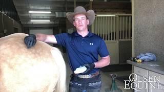 Therapeutic Shoeing for aTendon Contracture and Chronic Abscessing