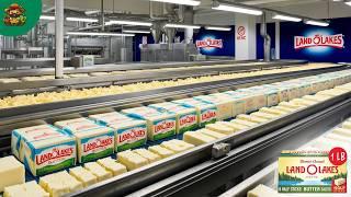 How Butter Is Made In Mega Factory With Modern Food Processing Technology