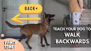 Teach Your Dog to Walk Backwards | Easiest Way to Teach Your Dog to Walk Backwards!