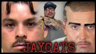 THE DEFINITION OF A JAYCAT....VERY FUNNY YOU MUST WATCH !!!