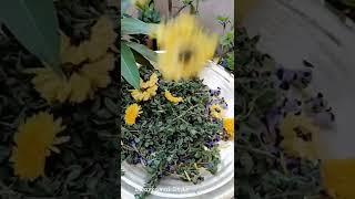 Making Garland || Morning vibes Neelam Garland  Dwarkamai Style  #Shorts #Flowers #garlandmaking