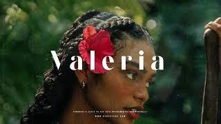 Afrobeat x Latino Type Beat - "Valeria" | Afrobeat Instrumental 2024