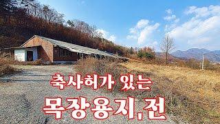 483. 횡성 서원면 허가있는 목장용지와 전#횡성목장용지#횡성축사