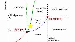 Xavier Shuang Xu - Phase Transition