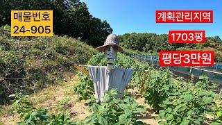 평당 3만원 1703평 계획관리지역 총금액5,100만원에 매매합니다