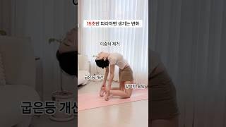 15초만 따라하면 생기는 놀라운 변화️ #스트레칭 #이중턱 #이중턱관리 #얼굴형관리 #굽은등스트레칭 #하체비만 #다이어트 #다이어터 #홈트 #홈트레이닝
