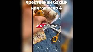 16 апреля 2023 г.