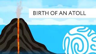 Birth of an Atoll