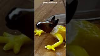 HORGS & FORGS Custom Breyer Model Horse x Frog