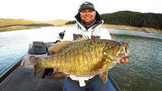 New Personal Best! GIANT Smallmouth Bass!