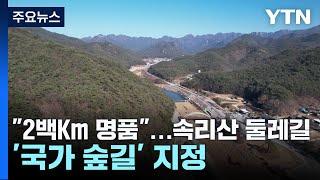 [충북] "2백Km 명품"...속리산 둘레길 '국가 숲길' 지정 / YTN