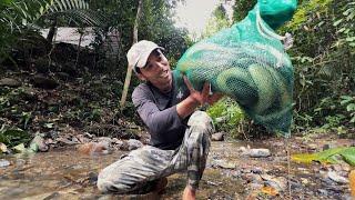 Sông Đồng Nai Cá Chạch Lấu Rất To / Fishing in the wild jungle