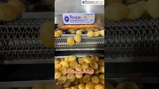 Panipuri Machine Panipuri Fryer🫓Panipuri Cutting machine | Panipuri Cart#trending#shortsfeed#shorts