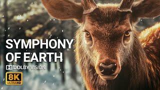 Symphony of Earth in 4K HDR 60fps | Relaxing Cinematic Journey Through Nature’s Elements