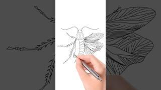 How to draw Cockroach 🪳 #jsjknowledge #shorts