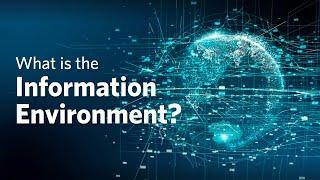 What is the Information Environment?