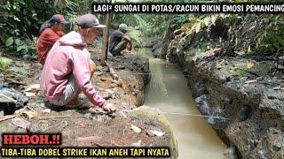 ASTAGA.!! LAGI ASIK MANCING IKAN TAWES DAN NILEM TIBA-TIBA SUNGAI DI POTAS/RACUN WARGA