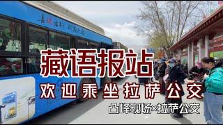 【凸峰现场】你听到过“藏语公交报站”吗？欢迎乘坐 拉萨公交！