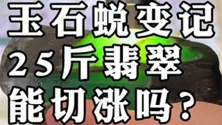 玉石蜕变记，25斤翡翠，能切出啥？ 翡翠 翡翠原石玉石雕刻