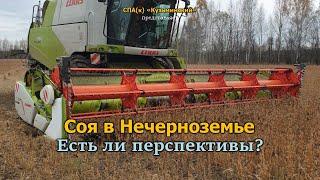 Соя в Нечерноземье. Какая урожайность?