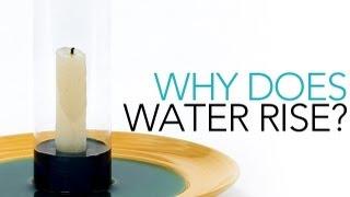 Why Does Water Rise? - Sick Science! #001