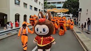 2025 CNY performance feat. Labubu macot : 8 lions,  high poles, acrobatics and dragon dance