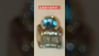 古董九连冠老切钻戒，Antique nine crown old cut diamond ring,古董大克拉蓝钻戒， Antique large carat blue diamond ring