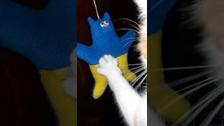 Доброго ранку, котики! #shorts #shortvideo #funnycats #cats #goodmorning #animals