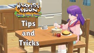 Beginner Tips and Tricks for Harvest Moon Home Sweet Home!