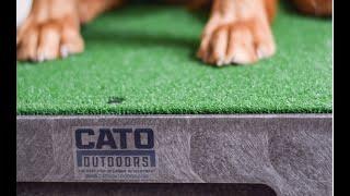 The Cato Board - designed with your dog in mind