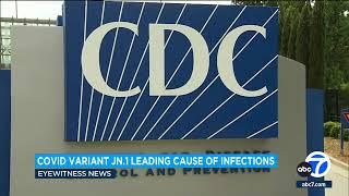 COVID JN.1 variant now leading cause of infections in United States, CDC says