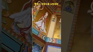 #백천사#무량수불#소원성취 #korea