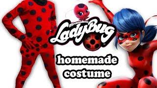 DIY Homemade costume Ladybug - Ecobrisa DIY