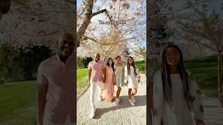 Peace, happiness, love️ #family  #picnic #spring #cherryblossom #가족 #봄 #벚꽃 #피크닉