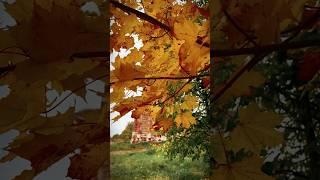 Autumn️ #beautiful #nature #views #photography #autumn