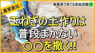 【玉ねぎ栽培】土作りではアレを入れると成功率がアップします！【有機農家直伝！無農薬で育てる家庭菜園】　23/9/7