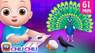 விலங்குகளிடம் கற்றுக்கொள் (Learn from Animals) - ChuChu TV Tamil Kids Songs Collection