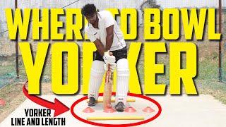 Where to bowl perfect yorker ? | Perfect line and length yorker | Cricket Bowling Tips | NBC