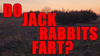 JACK RABBIT FART?