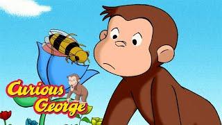 Where Does Honey Come From?  Curious George  Kids Cartoon  Kids Movies