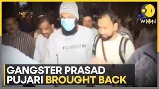 India: Mumbai Crime Branch brings back gangster Prasad Pujari | WION News