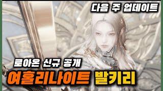 25년 로아온 신규 직업공개: 발키리
