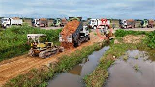 First Start a New Perfect Project! Making New Road On Flooded Area by Dozer With 5T Truck Processing